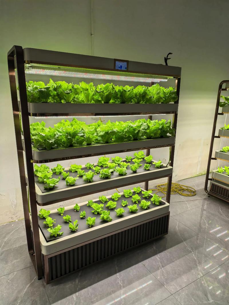 家庭植物种植架,#家庭植物工厂 #智能农业设备 #智能农业