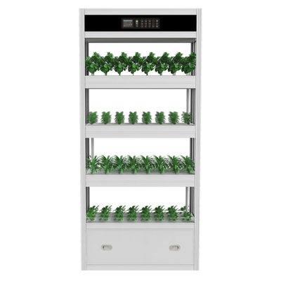 家庭阳台无土栽培设备水培蔬菜植物工厂立体智能种植系统机架柜箱